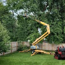 Trusted Dallas, GA  Tree Services Experts